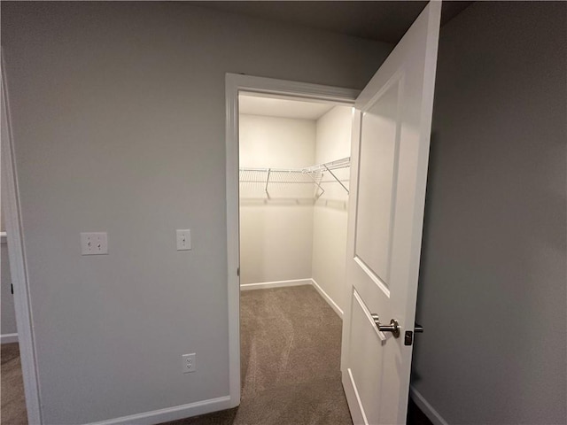 walk in closet with carpet flooring