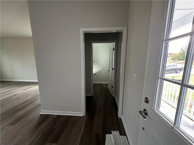 hall with plenty of natural light and dark wood-type flooring