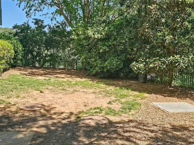 1263 Linden Ct NE, Atlanta, GA 30329 - view of yard