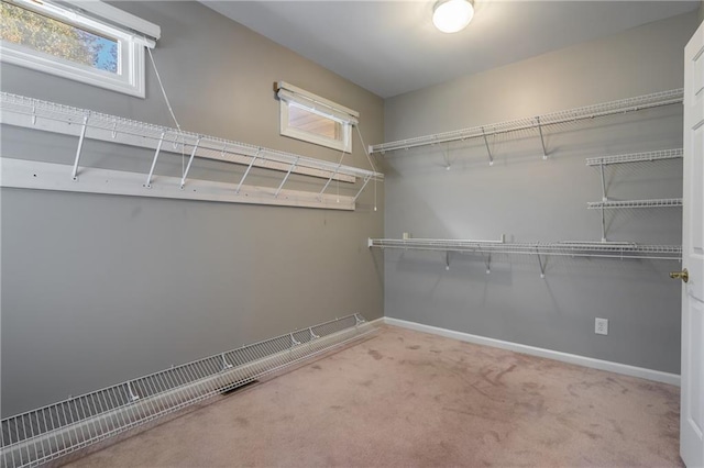 spacious closet with carpet floors