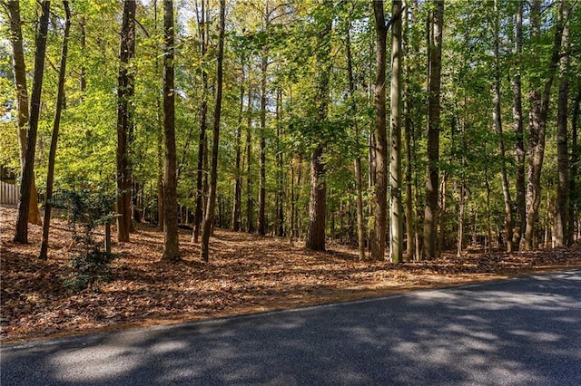 view of road