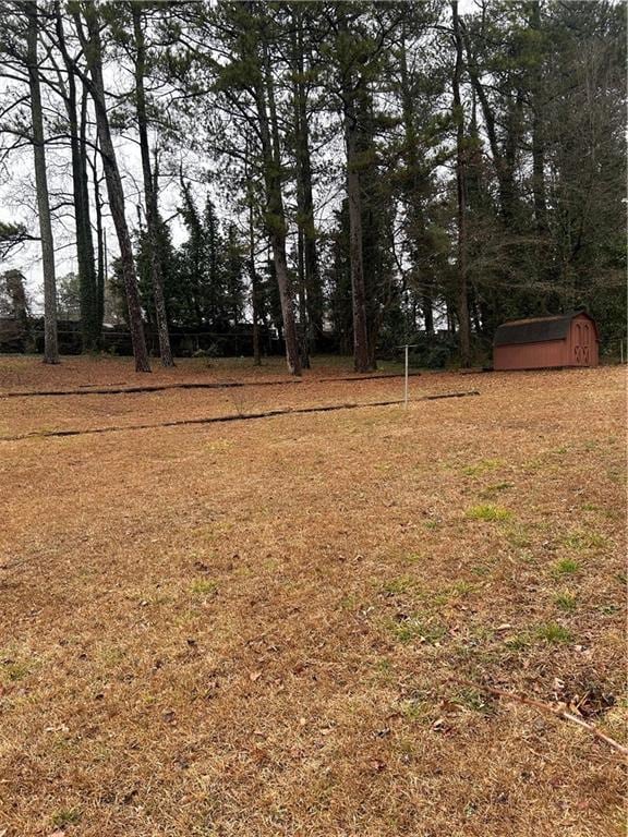 view of yard featuring a storage shed