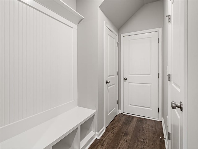 mudroom featuring lofted ceiling and dark hardwood / wood-style floors