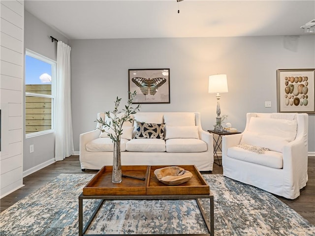 living room with dark wood-type flooring