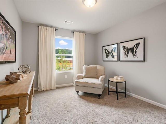 sitting room featuring carpet