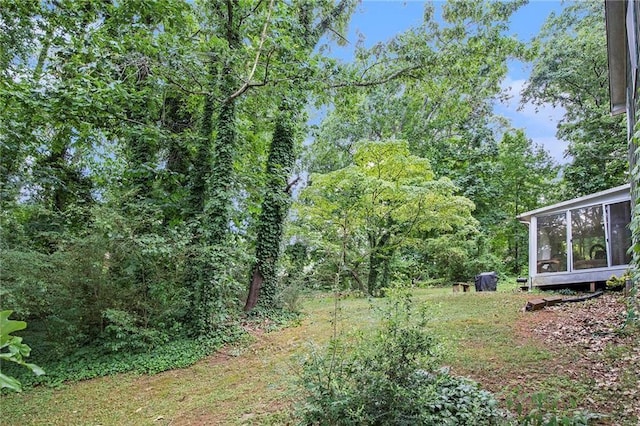 view of yard with a sunroom