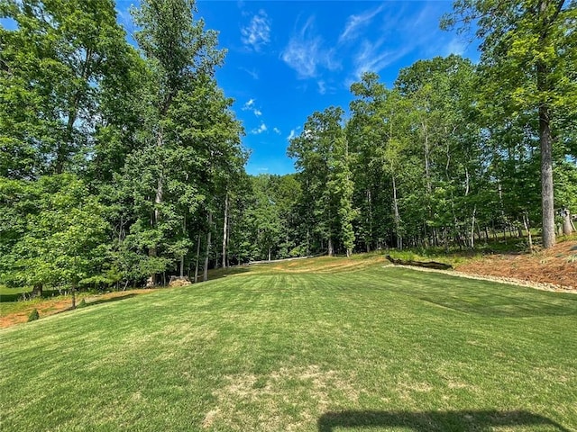 5354 Shadow Walk Way, Gainesville, GA 30507 - view of green lawn with a view of trees