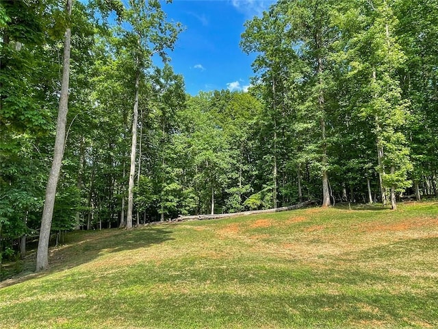 5354 Shadow Walk Way, Gainesville, GA 30507 - view of grassy yard featuring a view of trees