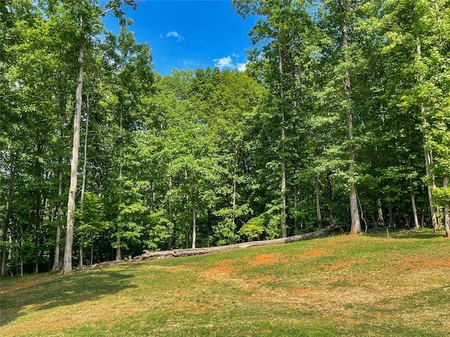 5354 Shadow Walk Way, Gainesville, GA 30507 - view of tree filled area