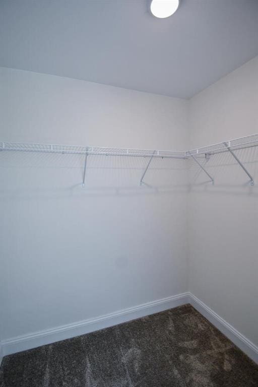 5354 Shadow Walk Way, Gainesville, GA 30507 - spacious closet featuring carpet floors
