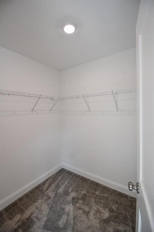 5354 Shadow Walk Way, Gainesville, GA 30507 - spacious closet featuring dark colored carpet