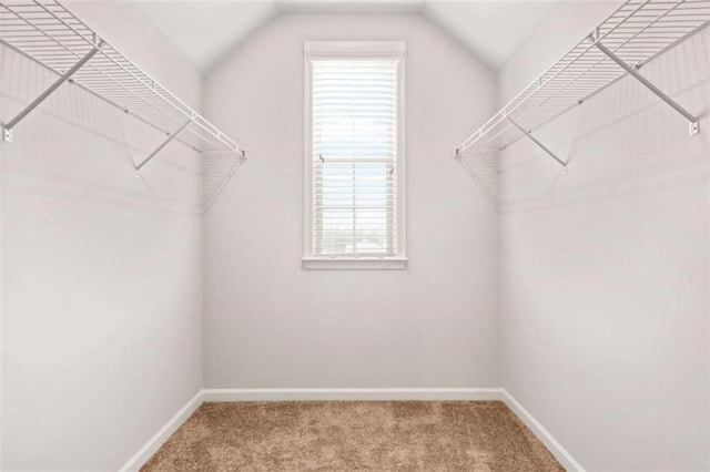 walk in closet featuring vaulted ceiling and carpet floors