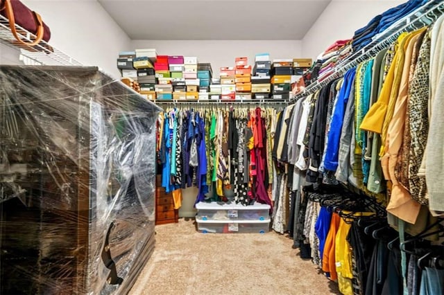 spacious closet featuring carpet floors