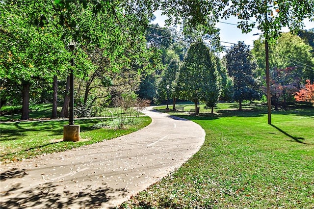 view of home's community with a yard