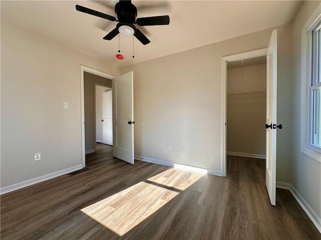 unfurnished bedroom featuring a closet, a spacious closet, ceiling fan, and dark wood-type flooring