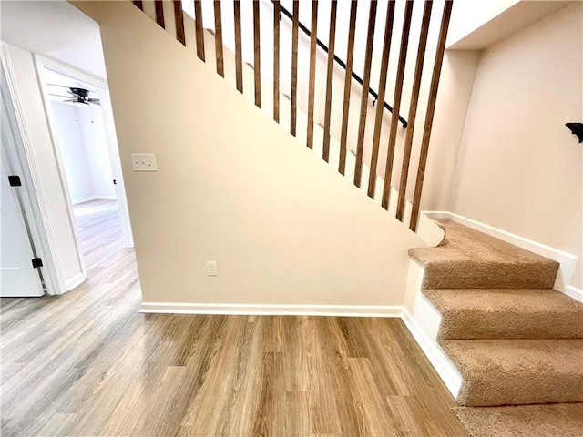 stairs featuring wood-type flooring and ceiling fan