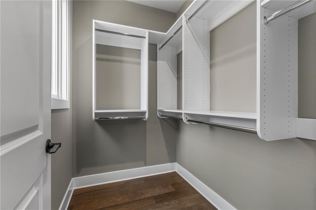 walk in closet featuring hardwood / wood-style flooring