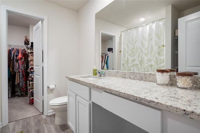 217 Limestone Cir, Conyers, GA 30013 - bathroom with toilet, wood finished floors, vanity, a walk in closet, and a shower with shower curtain