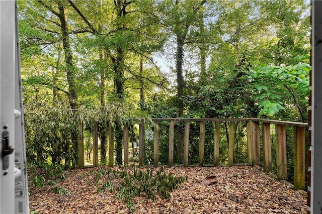 300 S Dale Ave, Calhoun, GA 30701 - view of local wilderness