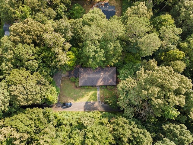 300 S Dale Ave, Calhoun, GA 30701 - view of subject property featuring a heavily wooded area