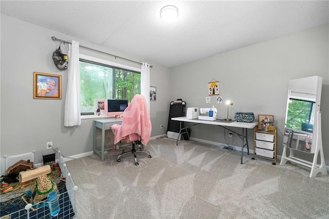 182 White Eagle Dr, Waleska, GA 30183 - carpeted home office with baseboards and a textured ceiling