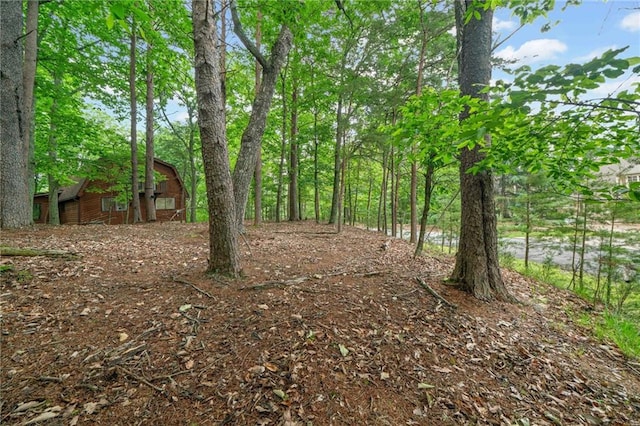 182 White Eagle Dr, Waleska, GA 30183 - view of yard