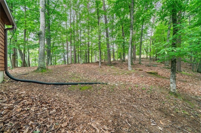 182 White Eagle Dr, Waleska, GA 30183 - view of yard