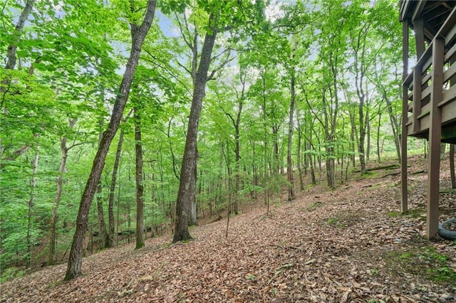 182 White Eagle Dr, Waleska, GA 30183 - view of tree filled area