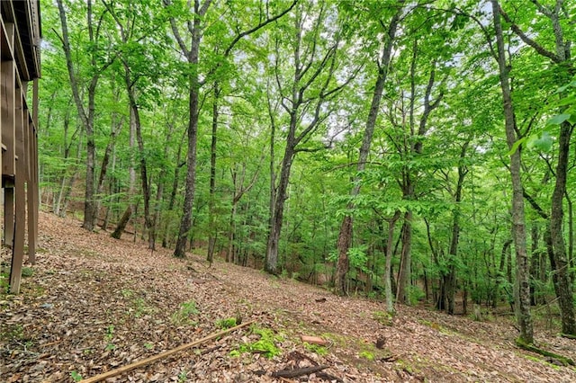182 White Eagle Dr, Waleska, GA 30183 - view of woods