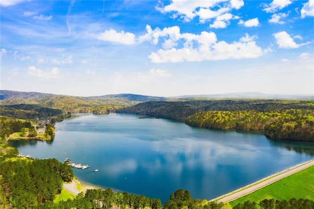 182 White Eagle Dr, Waleska, GA 30183 - water view featuring a forest and a mountain backdrop