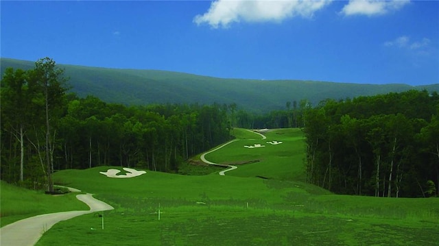 182 White Eagle Dr, Waleska, GA 30183 - surrounding community featuring a mountain view, view of golf course, and a forest view