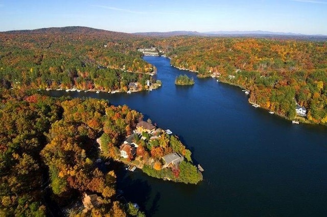 182 White Eagle Dr, Waleska, GA 30183 - aerial view of property and surrounding area with a forest and a large body of water
