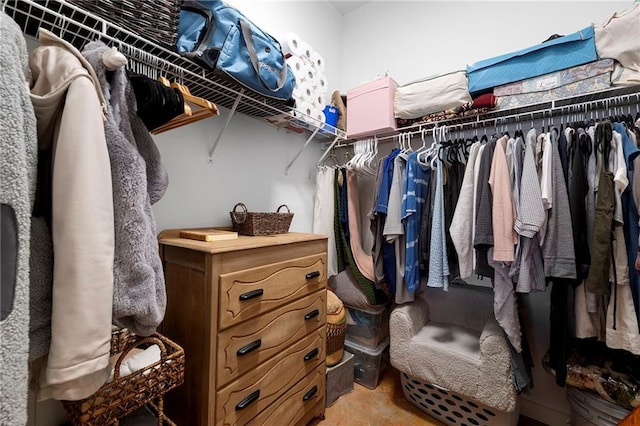 view of spacious closet