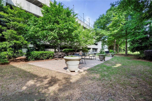 view of yard featuring a patio area