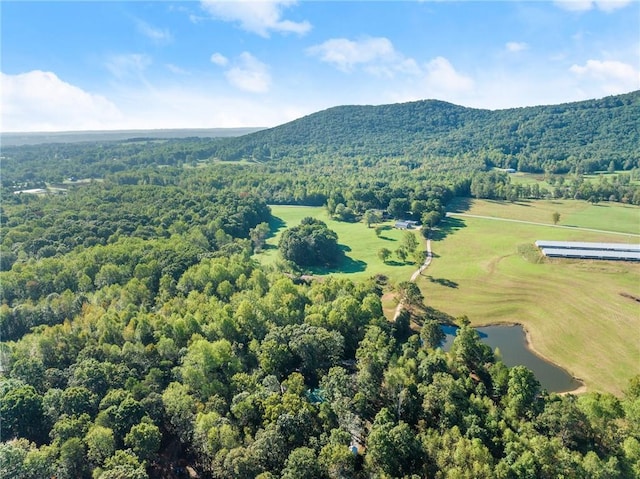 drone / aerial view with a water and mountain view