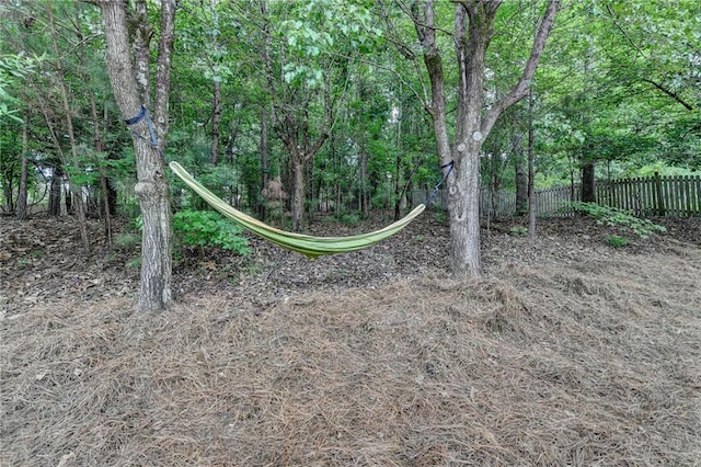 12130 Helleri Holw, Alpharetta, GA 30005 - view of yard