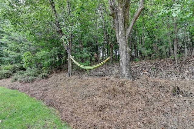 12130 Helleri Holw, Alpharetta, GA 30005 - view of wooded area