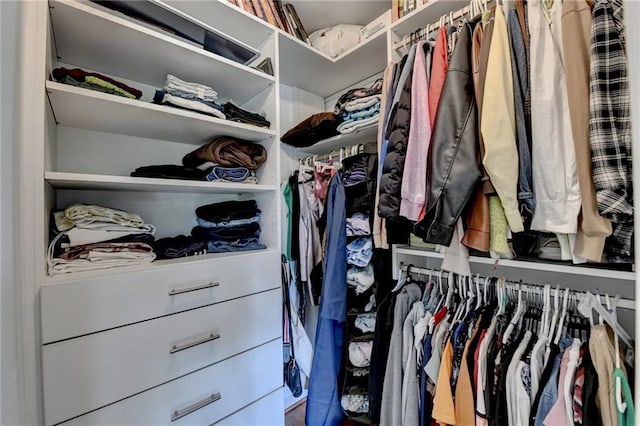 12130 Helleri Holw, Alpharetta, GA 30005 - view of walk in closet