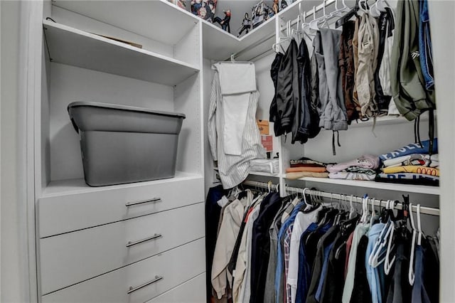 12130 Helleri Holw, Alpharetta, GA 30005 - view of spacious closet