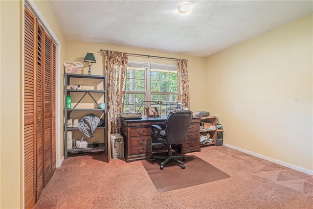 245 Forest Heights Dr, Athens, GA 30606