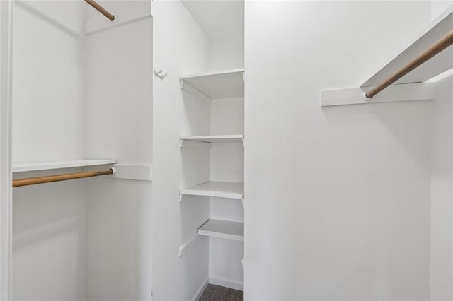 walk in closet featuring carpet floors