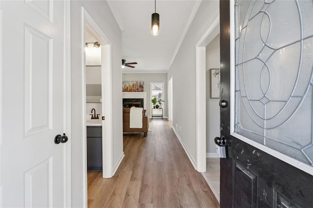 entrance foyer with a ceiling fan, baseboards, light wood-style floors, a lit fireplace, and ornamental molding