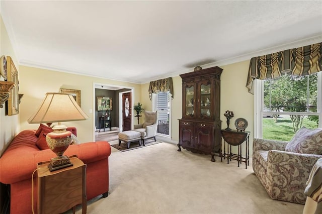1487 W Bend Creek Ct, Atlanta, GA 30338 - living area featuring crown molding and carpet flooring