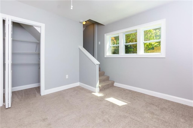 stairs featuring carpet floors