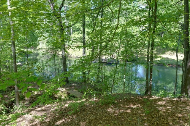 view of water feature