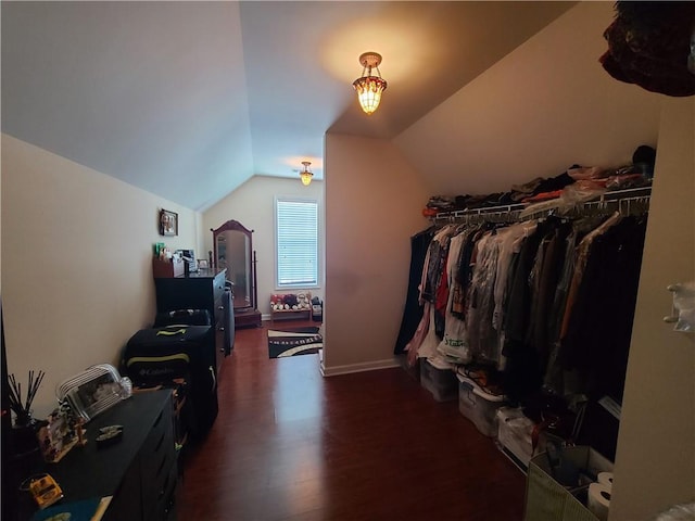 spacious closet featuring vaulted ceiling and wood finished floors