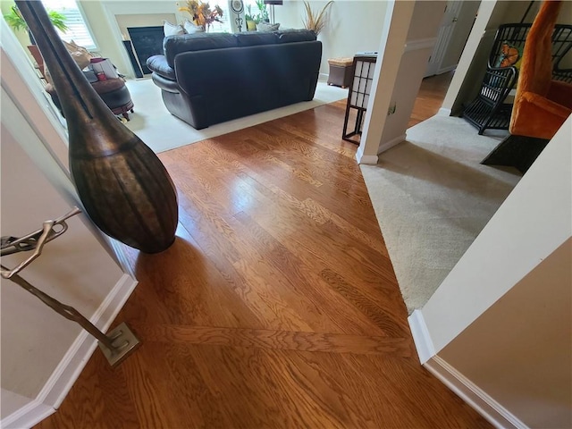 living room featuring baseboards and wood finished floors