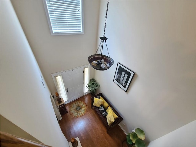 entryway featuring wood finished floors