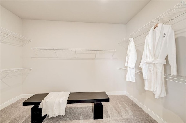 82 Sheryl Way, Loganville, GA 30052 - spacious closet with carpet floors