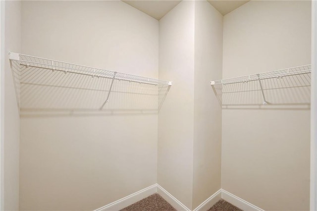 82 Sheryl Way, Loganville, GA 30052 - walk in closet featuring carpet floors